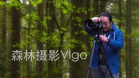 牛油果面包