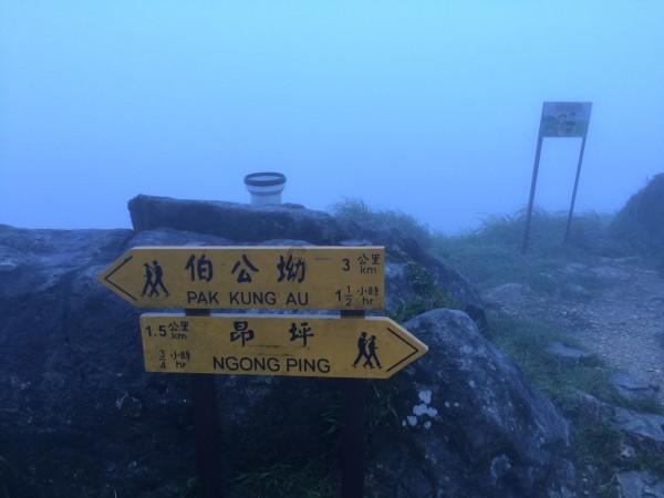 烟雨江湖佛法300怎么到达游戏画面